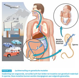 Luchtvervuiling en genetische mutaties