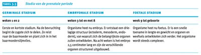 Tabel stadia van de prenatale periode