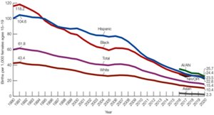Births to Women Under 20 Years of Age in the U.S. Over Time