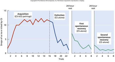 Graph showing acquisition, extinction, and spontaneous recovery in classical conditioning