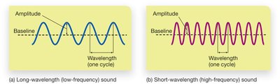 Characteristics of sound: frequency and amplitude