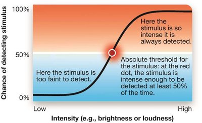 Graph showing absolute threshold for stimulus detection