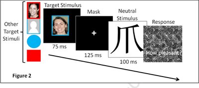 Affective priming paradigm for measuring implicit bias