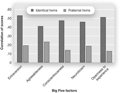 Bar graph showing twin correlations for Big Five traits