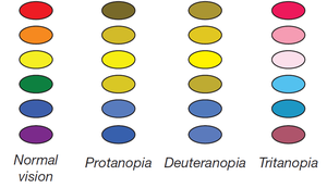 Types of color-deficient vision