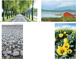 Pictorial depth cues: aerial perspective and relative size
