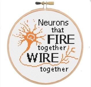 Neurons that fire together wire together