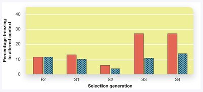 Bar graph showing selection generation and freezing behavior (genetic basis of fear)