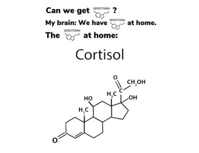 Serotonin vs. cortisol meme (neurochemistry in depression)
