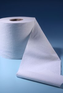 Toilet paper roll, representing toilet training
