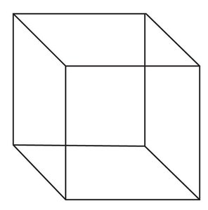 Necker Cube