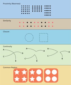Gestalt Principles of Grouping