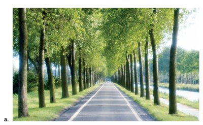 Linear Perspective