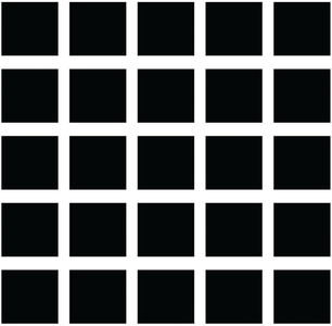 Hermann Grid