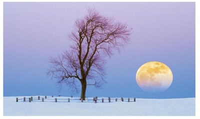 Moon Illusion
