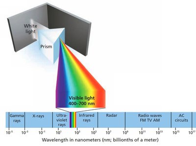 Visible Spectrum and Prism