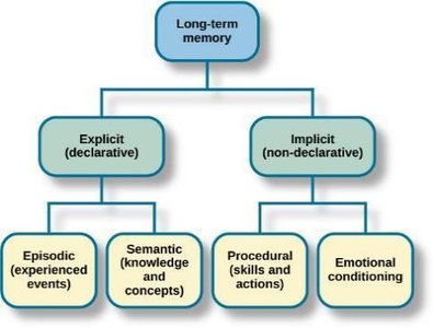 Types of long-term memory