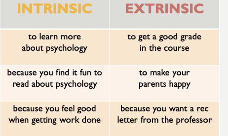 Intrinsic vs extrinsic motivation table