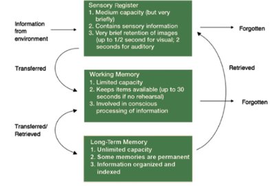 Three-box model of memory