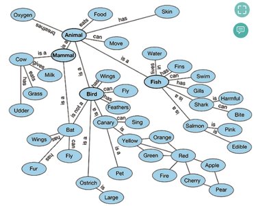 Semantic network of concepts