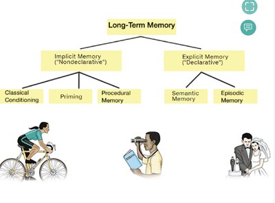 Long-term memory types