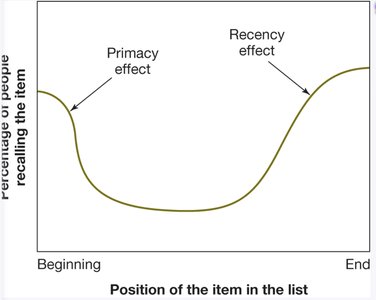 Serial-position effect graph