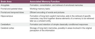 Brain areas and memory functions table