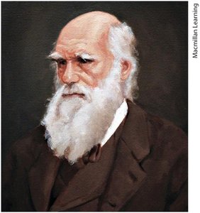 Portrait of Charles Darwin, influential in evolutionary psychology