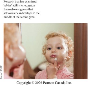 Infant exploring environment