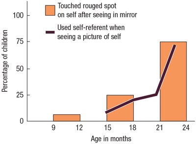 Graph of mirror recognition and self-naming development