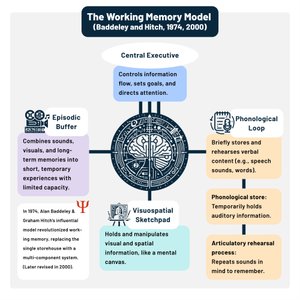The Working Memory Model (Baddeley and Hitch, 1974, 2000)