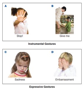 Instrumental and Expressive Gestures