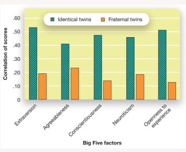 Bar graph comparing Big Five trait correlations in identical vs. fraternal twins
