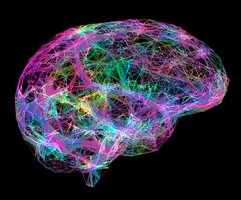 Brain network visualization