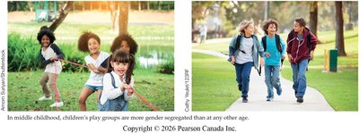 Children playing in gender-segregated groups