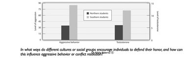 Culture of honour: aggression and testosterone