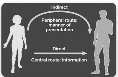 Central and peripheral routes to persuasion