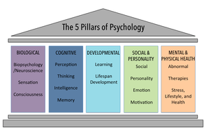 Diagram of the five pillars of psychology