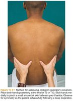 Method for assessing posterior respiratory excursion with hands placed on the back.