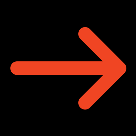 Person observing in nature with binoculars