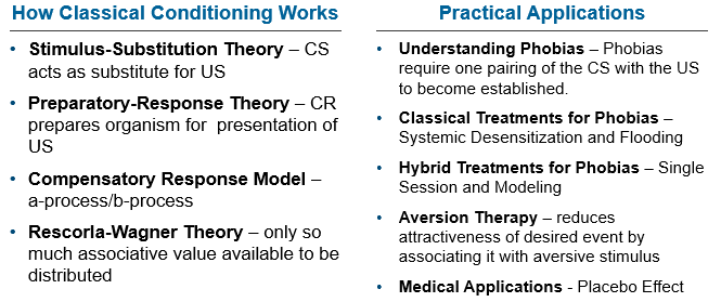 Summary table of classical conditioning theories and applications