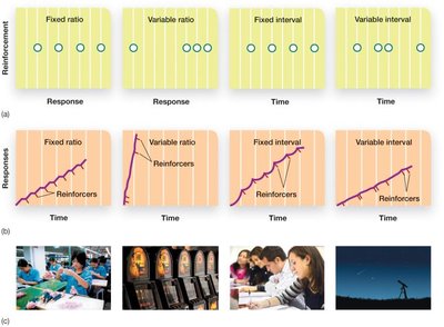 Schedules of reinforcement