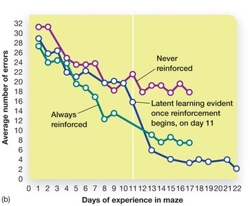Latent learning results graph
