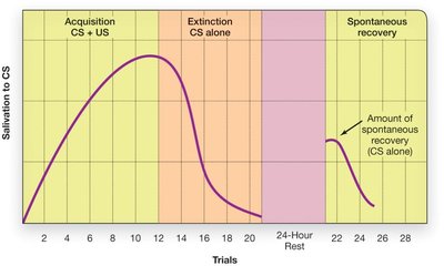 Acquisition, extinction, and spontaneous recovery