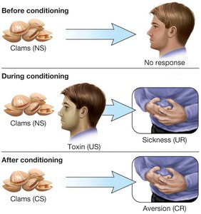 Conditioned taste aversions