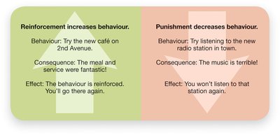 Reinforcement and punishment