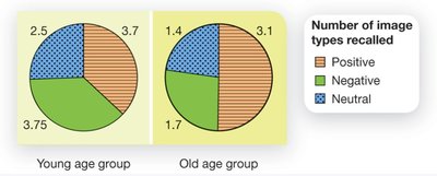 Pie charts showing recall of positive, negative, and neutral images by young and old age groups