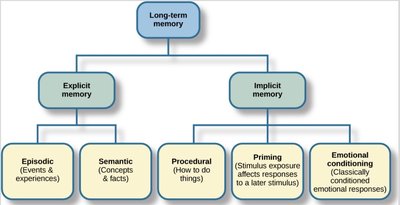 Long-term memory types diagram