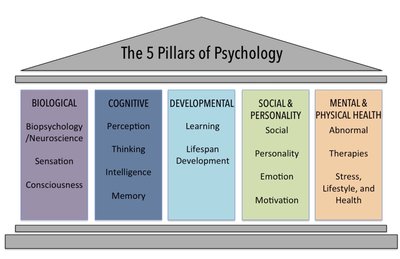 The 5 Pillars of Psychology diagram