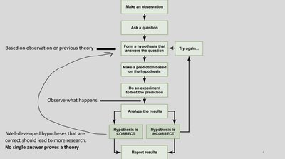 Scientific method flowchart